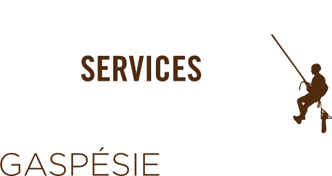 Services Arbres Gaspésie